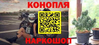 амф Бийск