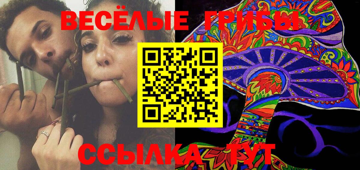 Галлюциногенные грибы Psilocybine cubensis Будённовск