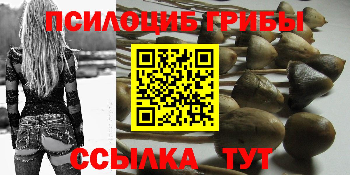 Галлюциногенные грибы MAGIC MUSHROOMS Будённовск