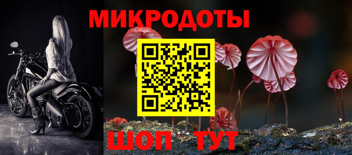 Псилоцибиновые грибы GOLDEN TEACHER  Вход с VPN  Будённовск 