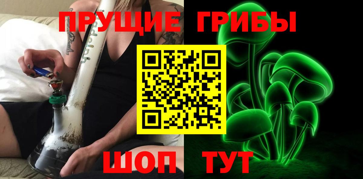 Псилоцибиновые грибы Cubensis  Будённовск 